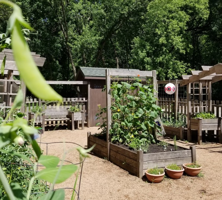 outdoor-center-edible-playground-photo